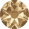 20ss Golden Shadow 2088